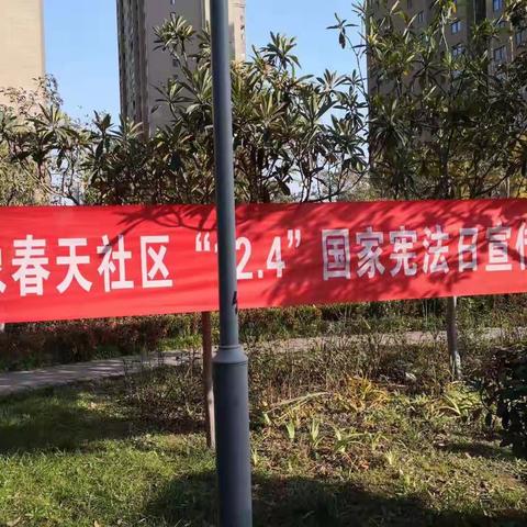 电子城街道万象春天社区开展“12·4”国家宪法日宣传活动