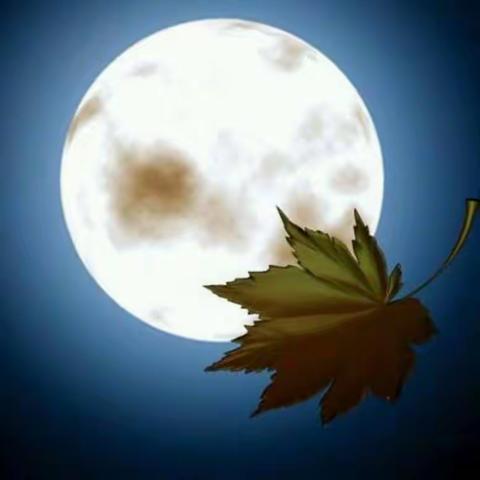 阅读积蓄力量，阅读遇到最美的自己，欢迎走进北马路小学“朗读者”活动。