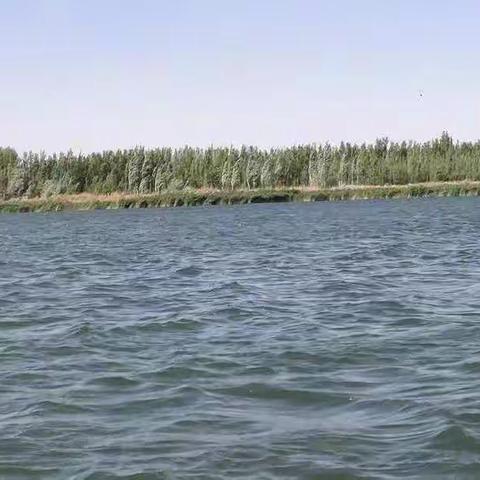 亲爱的朋友，你好。欢迎走进北马路小学《朗读者》活动，本期的主题是愿望。