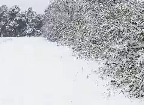 黄茅洲镇红旗小学2022年寒假放假通知