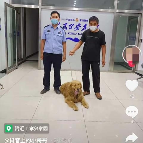 爱犬走失主人急切       民警有求必应急速找回