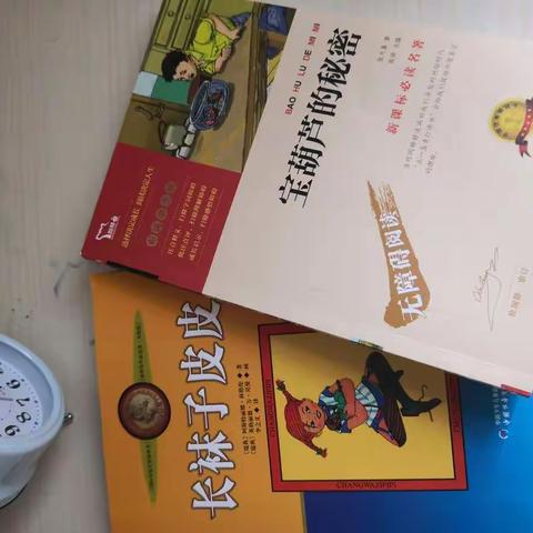 苏奕铭2019年暑假读书时光