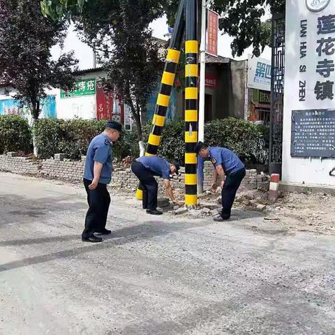 交通运输综合执法一周工作动态