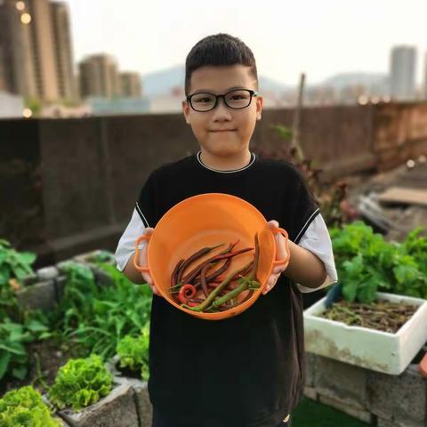 【卿翊宸】家庭小帮手