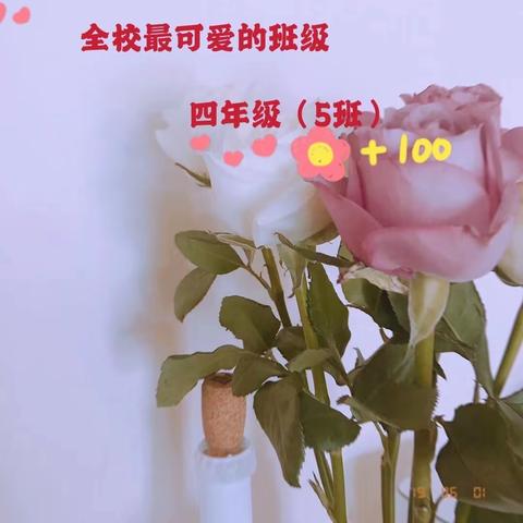 送给最最可爱的你们❤️