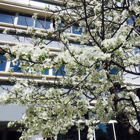 特殊的时刻，最美的你——疫情期间奋斗在生产一线的女同胞