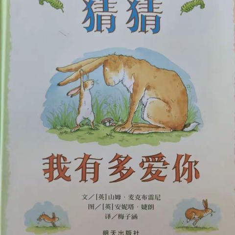 小班绘本故事:《猜猜我有多爱你》