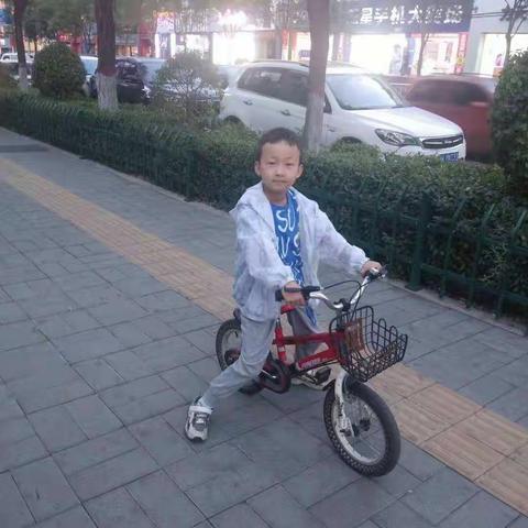 实验小学三年级一班虎靖