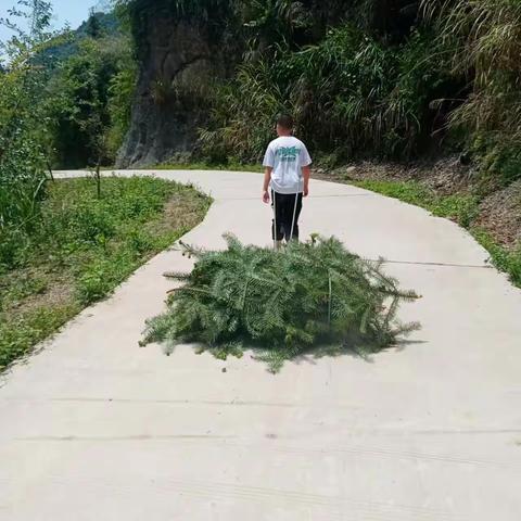 五一劳动节、动起手来