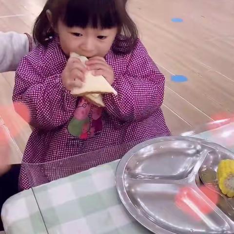 天健弘毅幼儿园的美篇