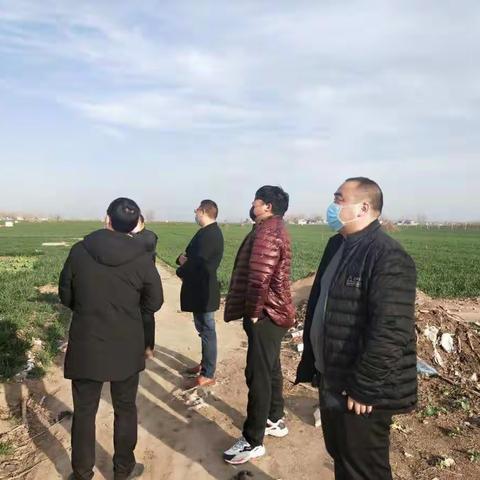 战疫情  保春灌
