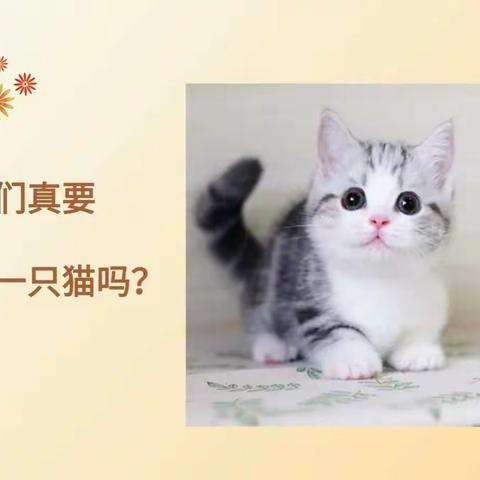 【孝静·赋能日记Day27】我们真要养一只猫吗？