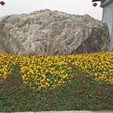 春回大地，万象更新