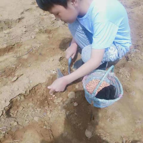 晓林镇南庄小学五一劳动节活动———“我劳动，我光荣”