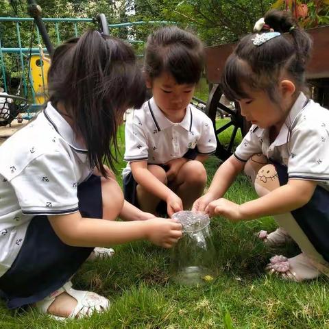 探秘昆虫，趣味“虫”生