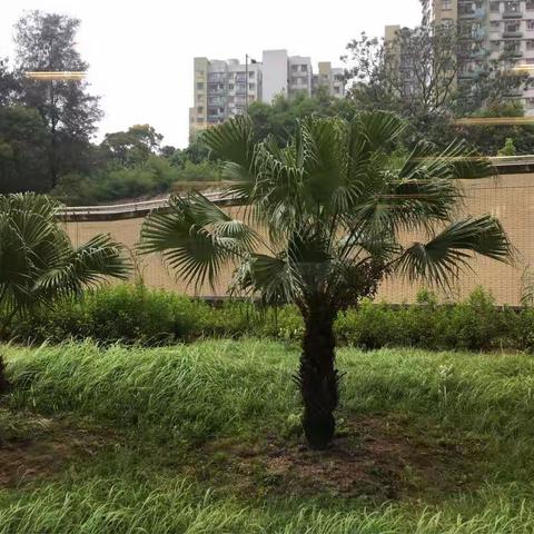 乘坐港鐵時候看到的風景