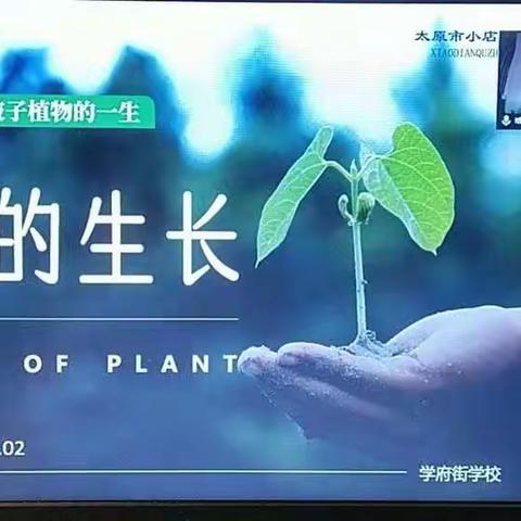 “疫”起上网课，教研话心声——记学府街学校生物组毕业班线上教学课例研讨