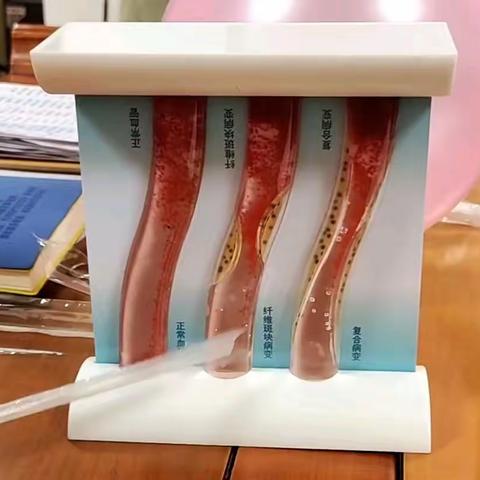 健康8——身体自检