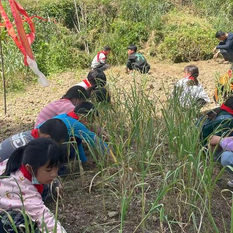 倡劳动教育 促全面发展——三家田小学开展劳动实践活动