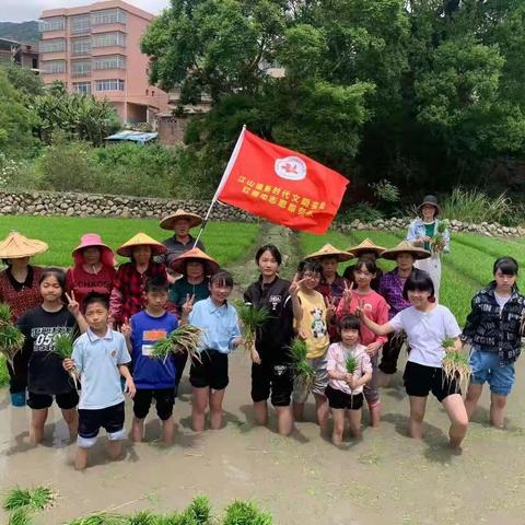 田润童心，播种希望——记江山中心小学农耕体验插秧乐