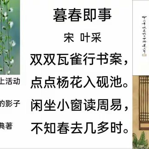 桥西区四维小学｜经典古诗浸润童年