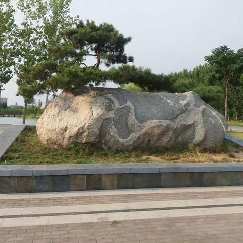 森林公园