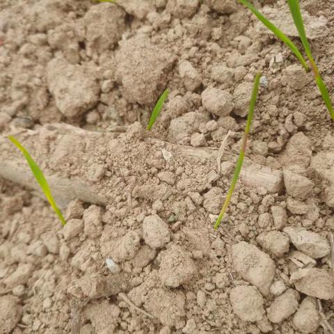 树优良作风，解群众难题