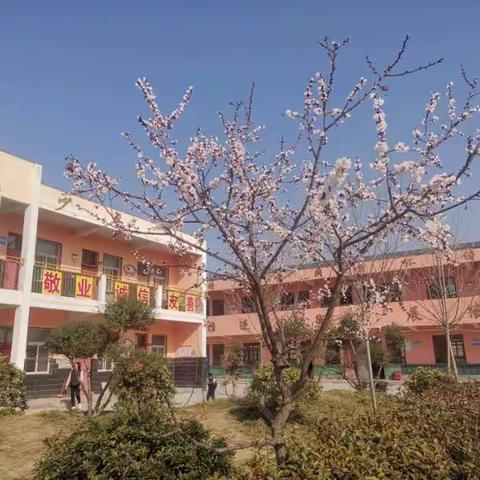 让“双减＂政策落实落地落细，做人民满意的教育－－－芦岗乡乔寨小学