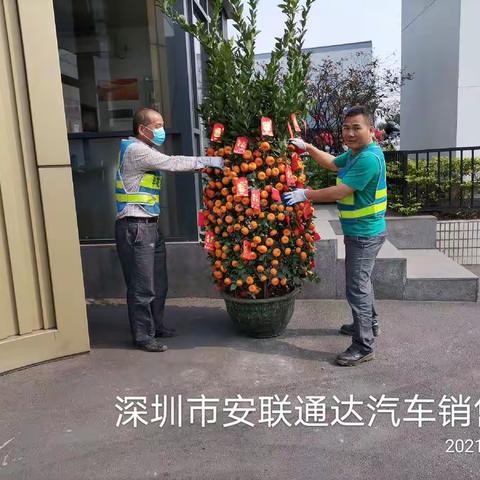 【宝安区城市管理和综合执法局】宝安区3月28日年花年桔收运处理工作顺利完成