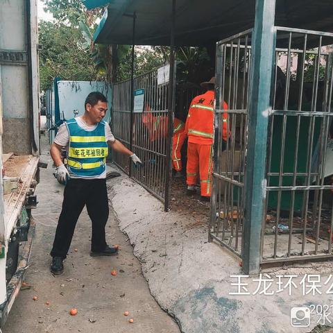 【宝安区城市管理和综合执法局】宝安区4月7日年花年桔收运处理工作顺利完成