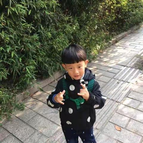 喜欢秋天的丁