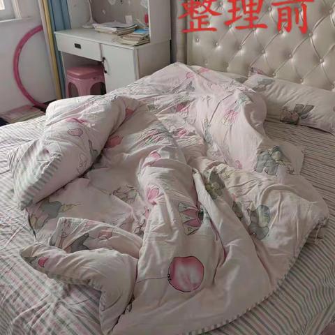 2023我的假期生活 王京颖 224131