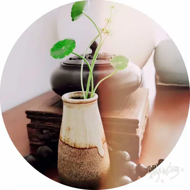 悠然，随心，随性，随缘。