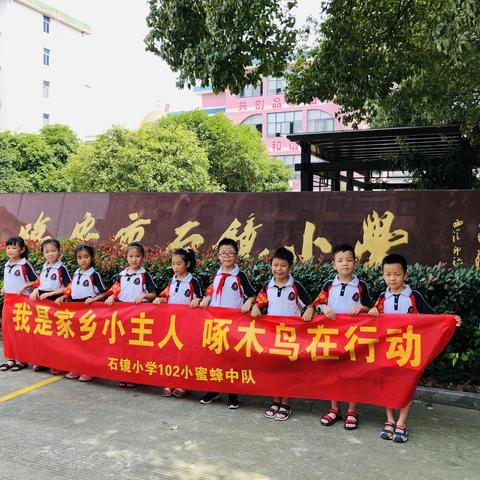 我是家乡小主人，啄木鸟在行动——临安区石镜小学102小蜜蜂中队暑假社会实践活动