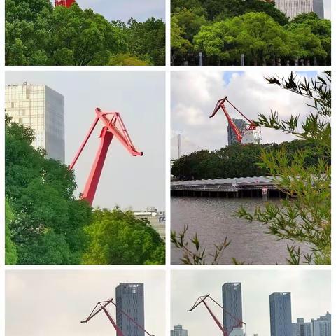 老花传奇的美篇