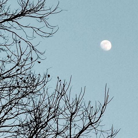 追 逐 白 月 亮🌙