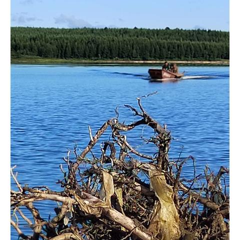 老花传奇的美篇