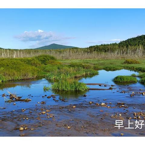 老花传奇的美篇