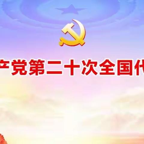 踔厉奋发，勇毅笃行 ——墨小教师热议二十大