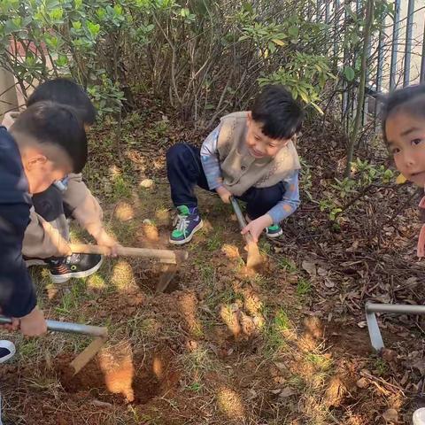 艺林银湖城幼儿园蒙氏一班一种植希望