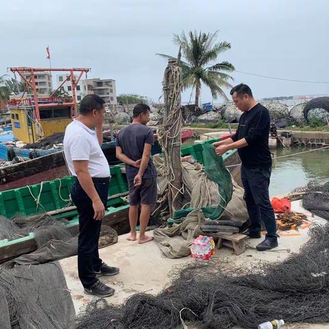 第17号台风“沙德尔”来袭 美兰区农业农业局提前部署、全力做好防风工作