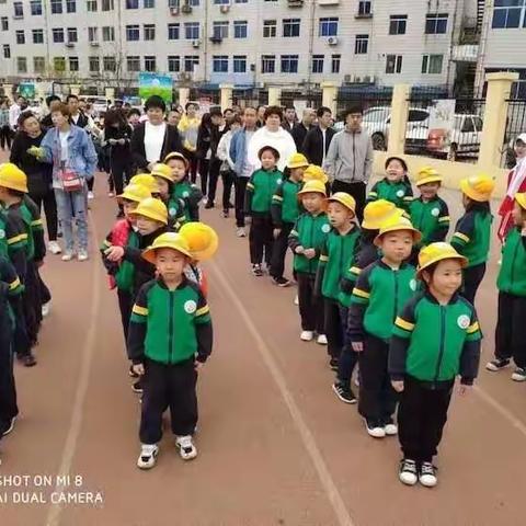 欣欣幼儿园—森林运动会