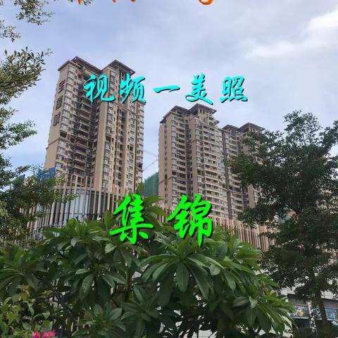 大炮公的美篇