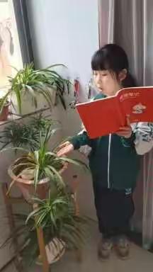 风的美篇