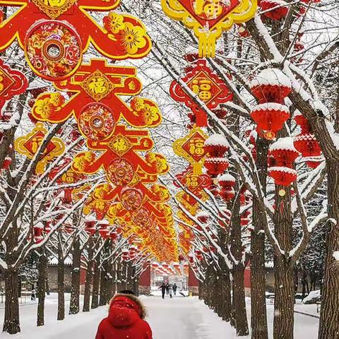 新冠初年春节的京华雪景