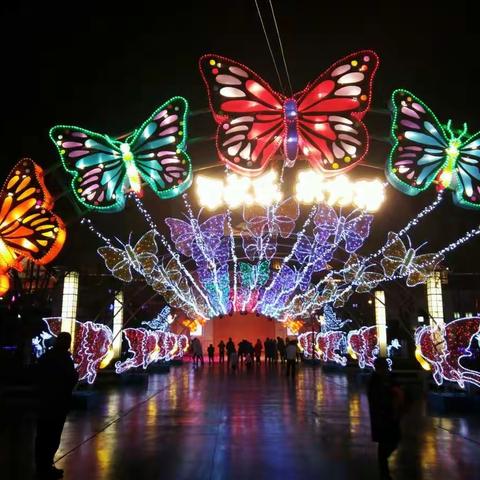 我眼中的春节 六六班 李思阳