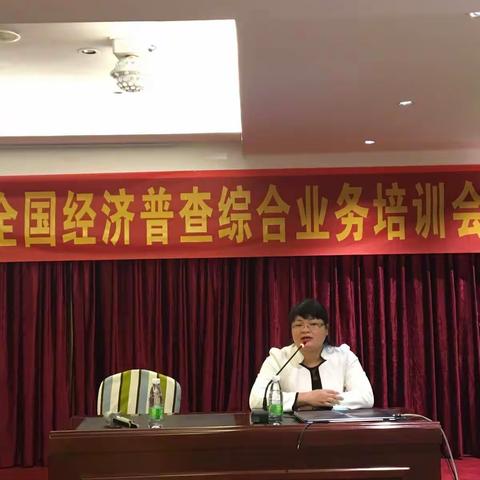 琼山区召开海口市琼山区第四次全国经济普查综合业务培训会