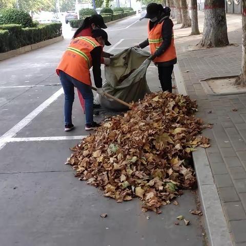 《一叶知秋总关情，濮阳最美环卫人》