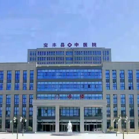 河南省宝州物业中医院项目—五月工作简报
