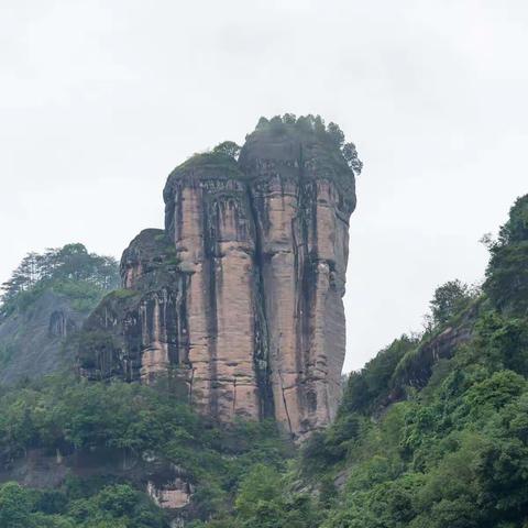 初夏福建游（2）——武夷山篇
